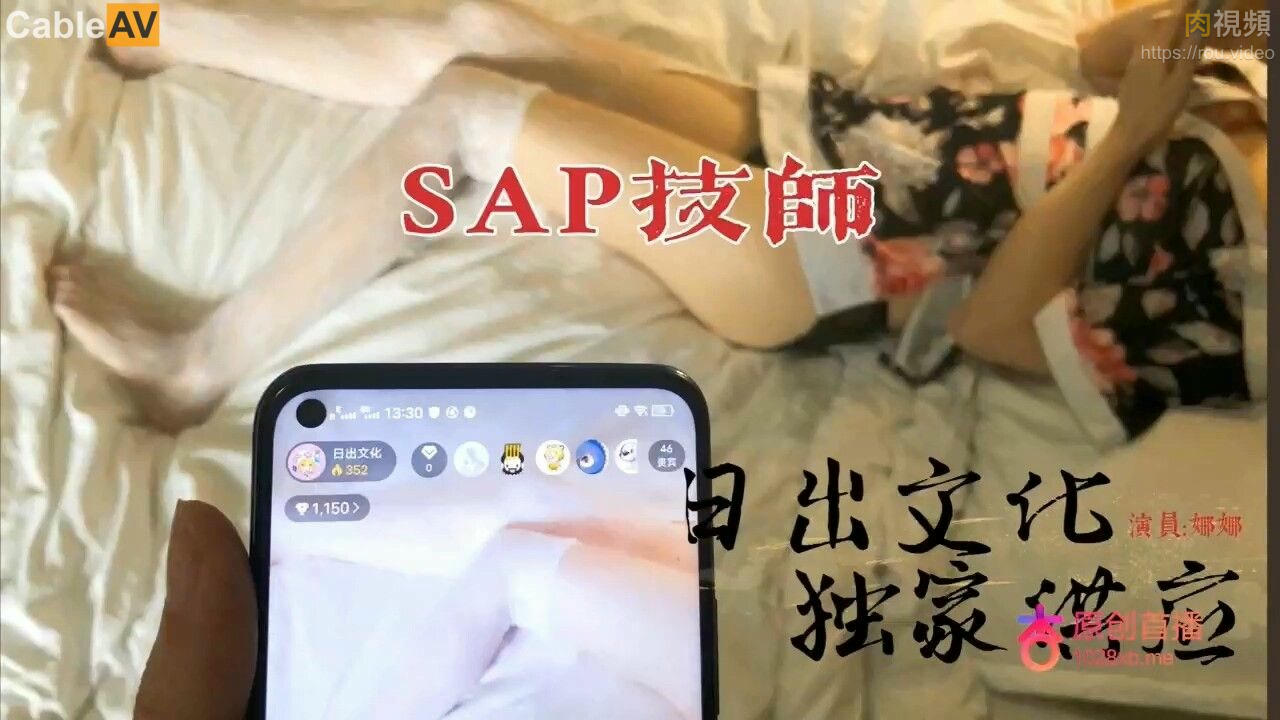 SAP技師極品服務